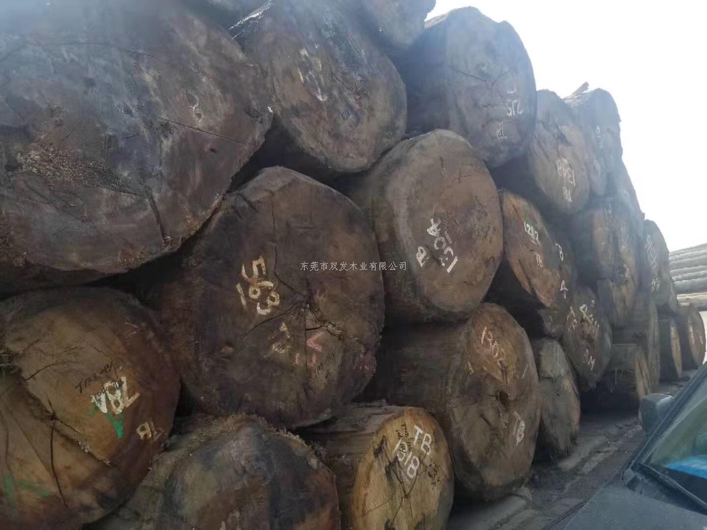 迎7月家具展，雙發(fā)木業(yè)原木加工進行中。。
